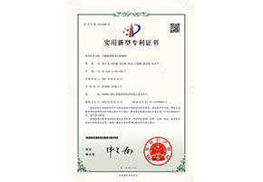小蝶板側裝式雙板蝶閥